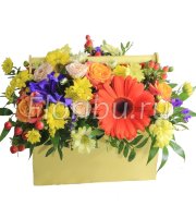 Цветы в деревянной коробке "Сочные краски"